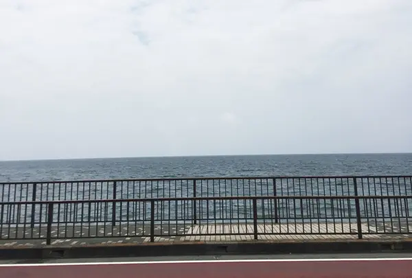 相模湾を見ながら歩いてみるのもいいものです。