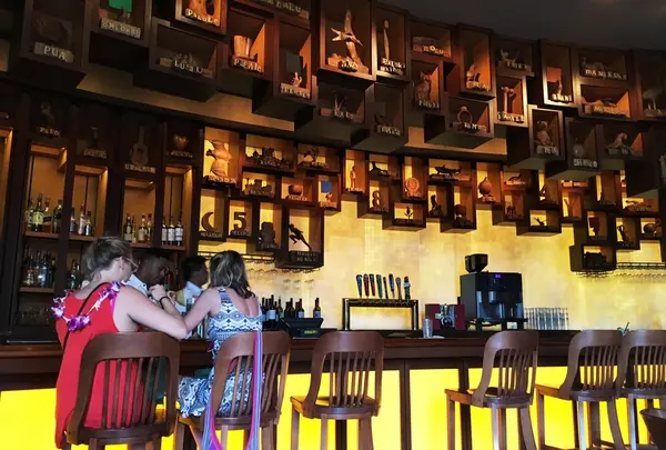 Aulani, A Disney Resort & Spa（アウラニ・ディズニー・リゾート＆スパ）の写真・動画_image_77657