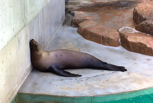 城崎マリンワールドの写真・動画_image_77665