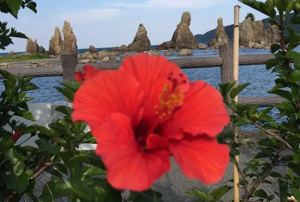 橋杭岩の写真・動画_image_78354