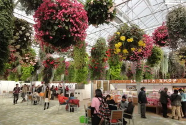 SKY　GARDEN