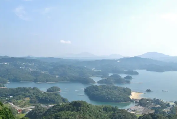大浦棚田の写真・動画_image_7854