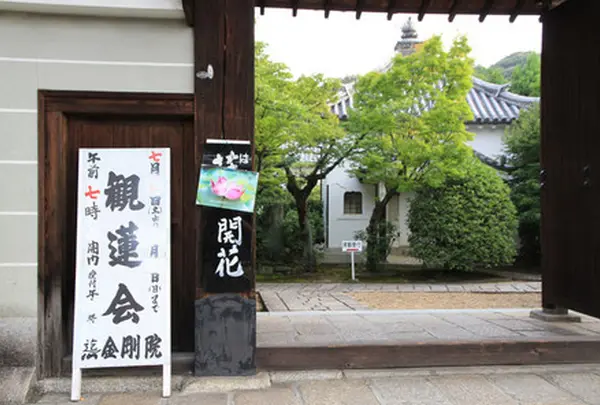 「開花してます」のお知らせ