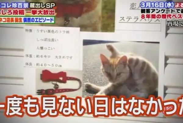 店長就任前に失踪！？