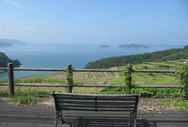 ベンチと棚田