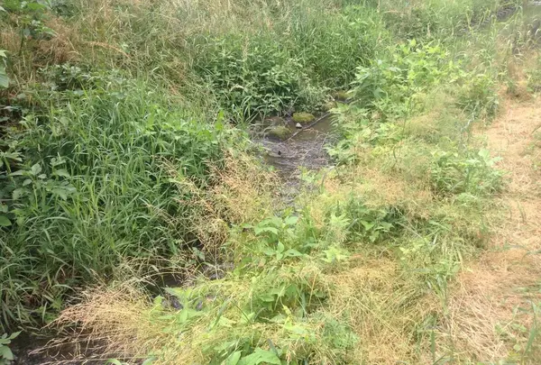 水が流れる