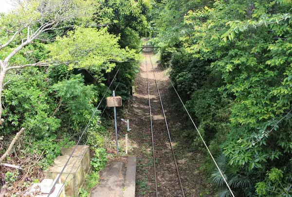 本銚子駅の写真・動画_image_78802