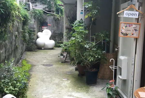 神楽坂てまめの写真・動画_image_78806