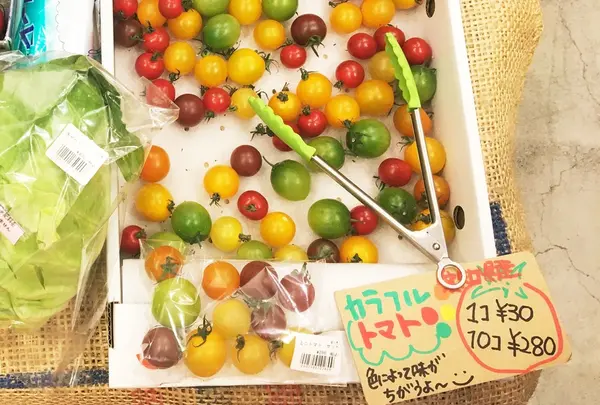 神楽坂野菜計画の写真・動画_image_79389