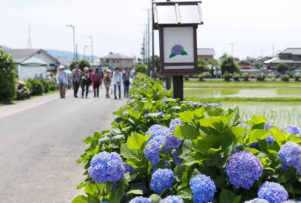 雨の日も安心