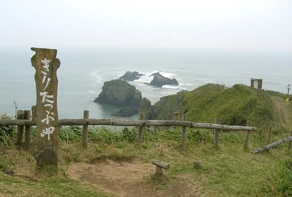 霧多布湿原の写真・動画_image_7998