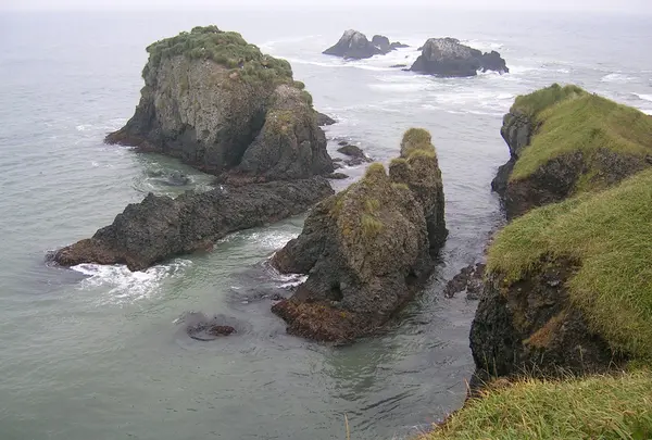 霧多布湿原の写真・動画_image_7999