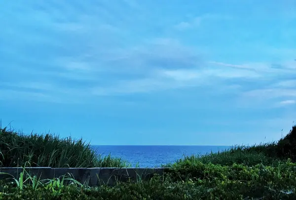 公園から見える海