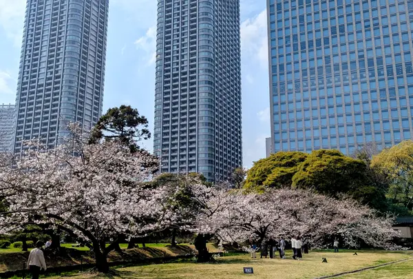 浜離宮恩賜庭園の写真・動画_image_810814