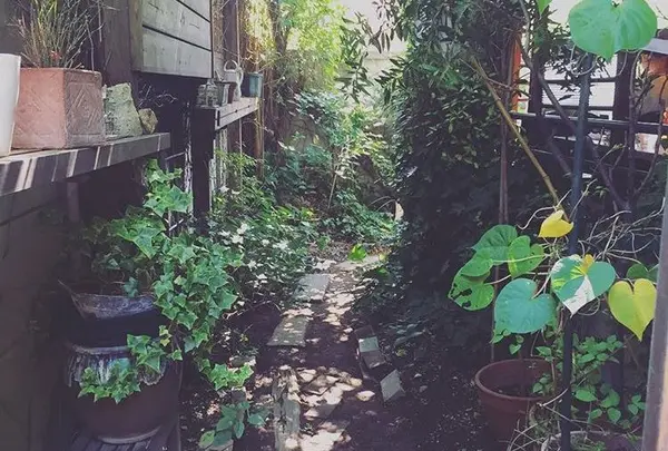 裏庭の小道が素敵〜