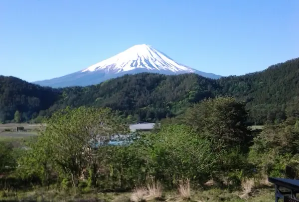 朝