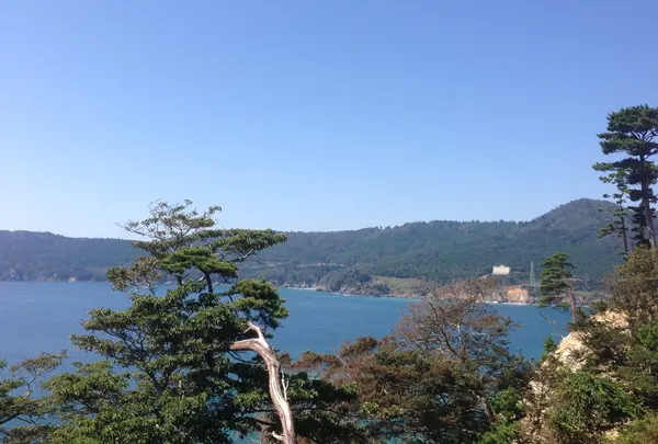 金華山から見る景色