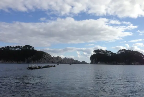 浄土ヶ浜の景色