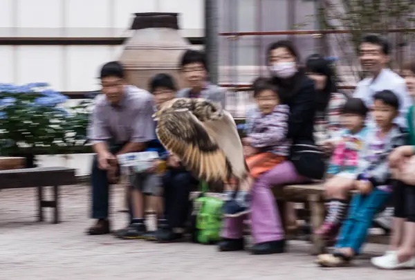 富士花鳥園の写真・動画_image_8362