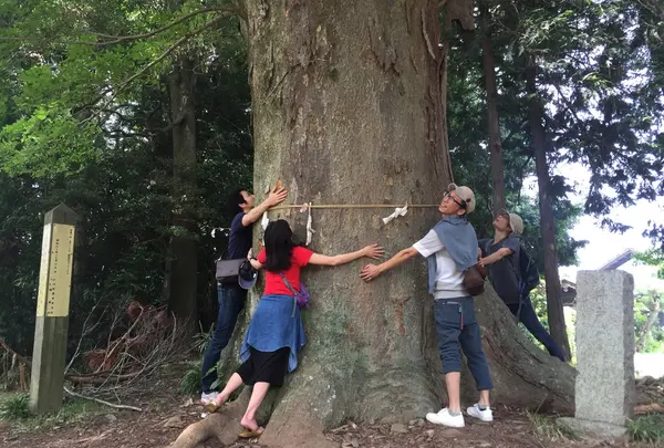 麦雑穀工房 マイクロブルワリーの写真・動画_image_83763