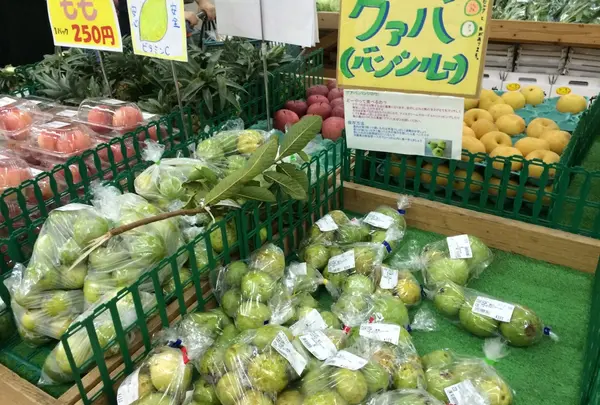 グァバやパッションフルーツなども。