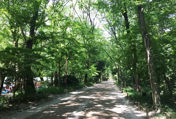 糺ノ森