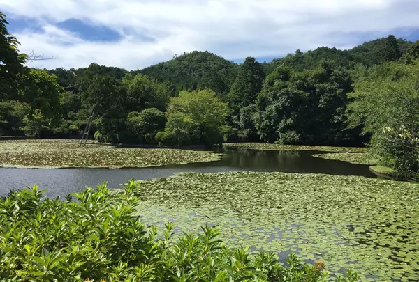 鏡容池