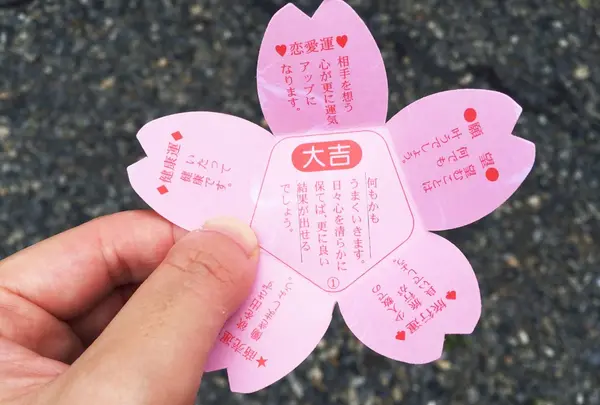 桜みくじ