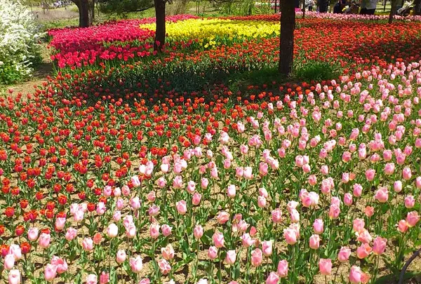 国営アルプスあづみの公園　堀金・穂高地区の写真・動画_image_9037