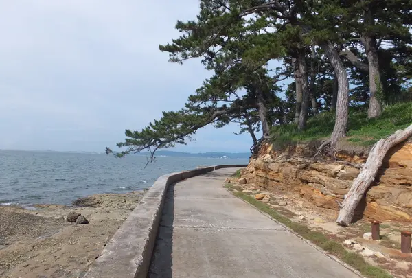 佐久島の写真・動画_image_9176