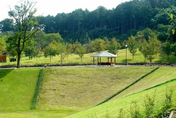 小田原こどもの森公園わんぱくらんどの写真・動画_image_933
