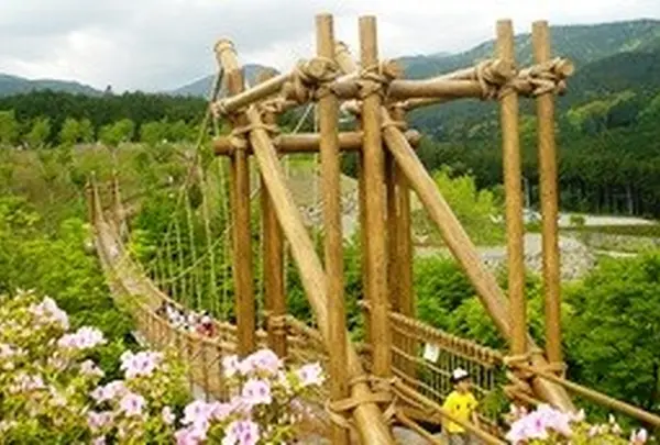 小田原こどもの森公園わんぱくらんどの写真・動画_image_937