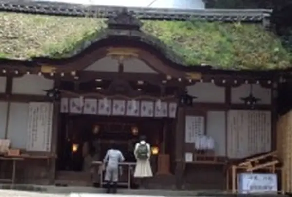 大神神社の写真・動画_image_9388