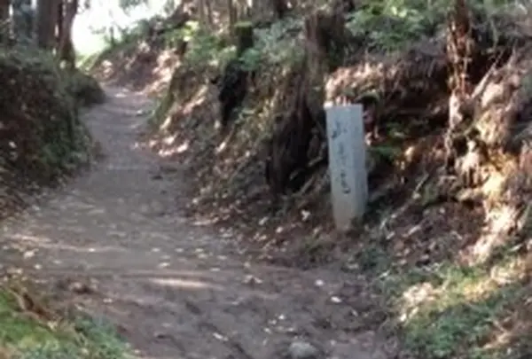大神神社の写真・動画_image_9392