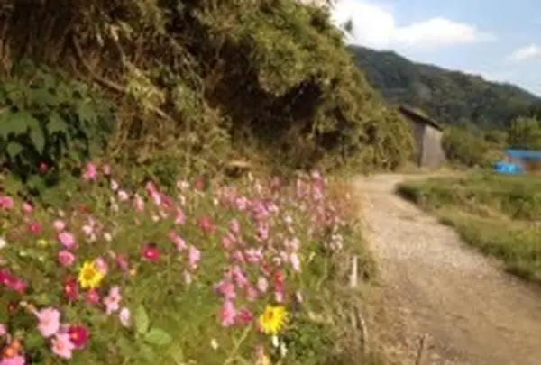 額田王の万葉歌碑の写真・動画_image_9394