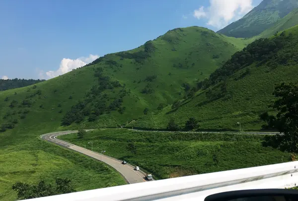 県道11号線