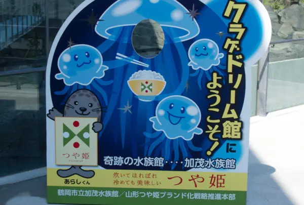 クラゲドリーム館へようこそ！