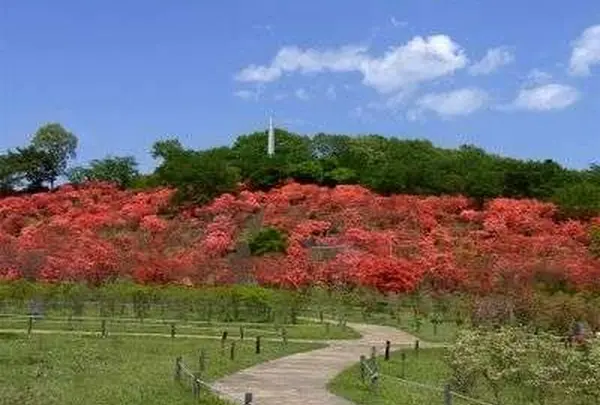 矢板市　名峰公園