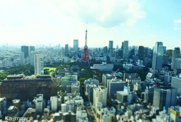 【閉業】世界貿易センタービル展望台の写真・動画_image_9764