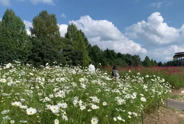 国営備北丘陵公園