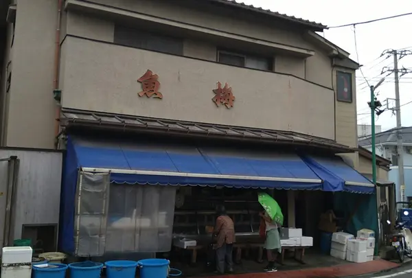 魚梅