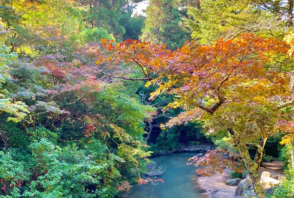 紅葉谷公園