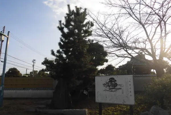 須佐野公園