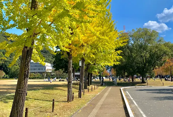 三之丸跡 堀之内公園