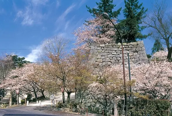 松坂城跡（松阪公園）