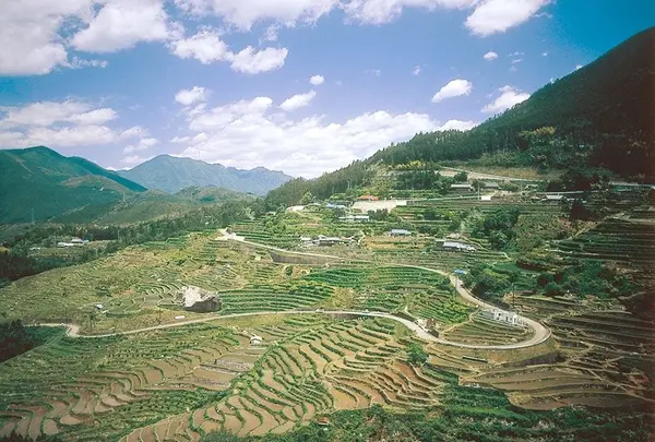 丸山千枚田