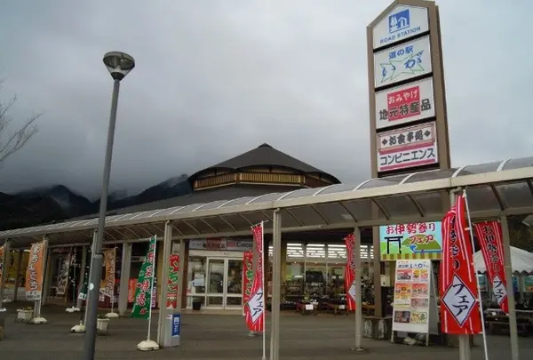 道の駅「いが」