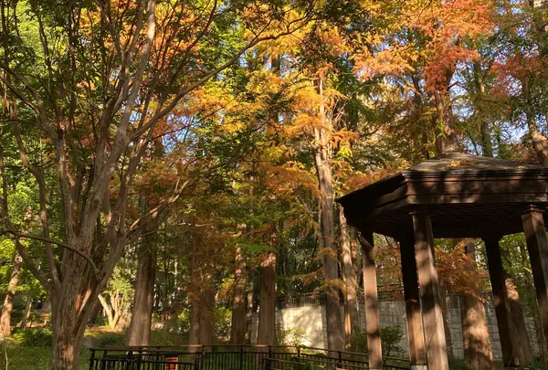 都立林試の森公園の写真・動画_image_1014799
