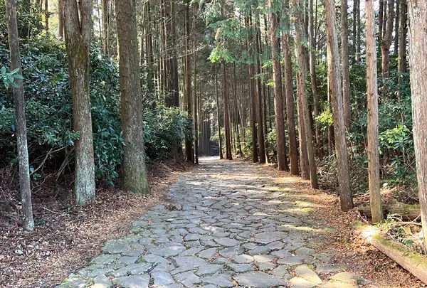 腰巻地区箱根旧街道遺跡の石畳