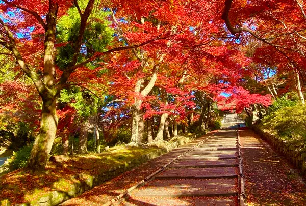 毘沙門堂の写真・動画_image_1020062